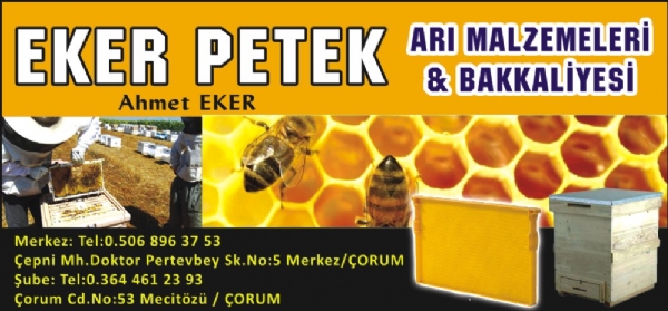 EKER PETEK