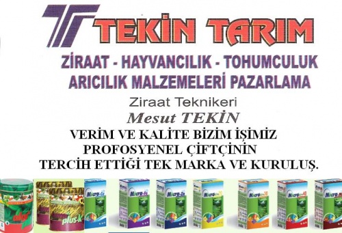 Tekin Tarim