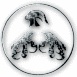 Pençe