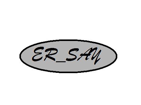 Er_say_makina