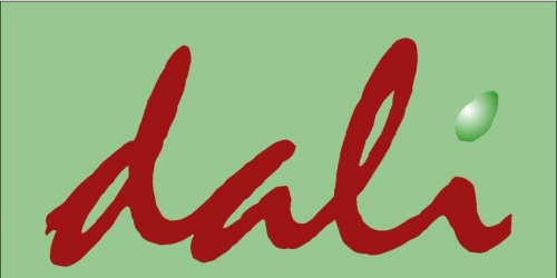 Dali Resim Çerçeve