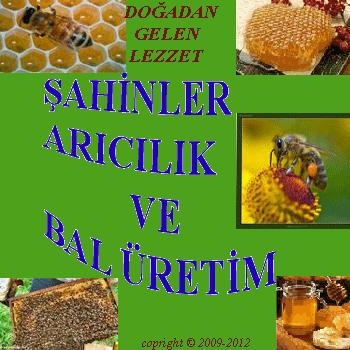 Şahinler Bal