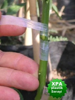 Aşı Bağı   Üreticisi Xpa Plastik