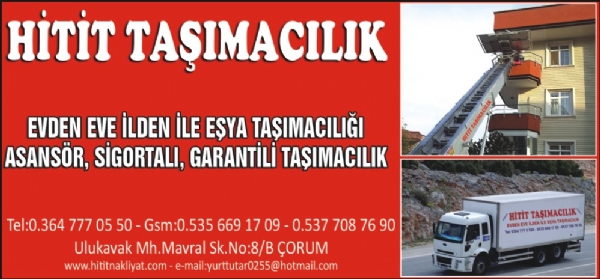 HİTİT TAŞIMACILIK