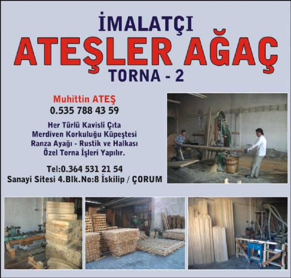 ATEŞLER AĞAÇ