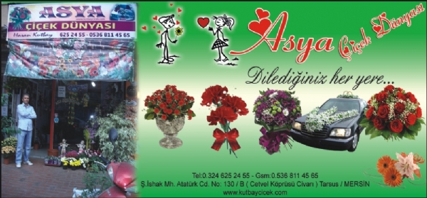 ASYA ÇİÇEK DÜNYASI