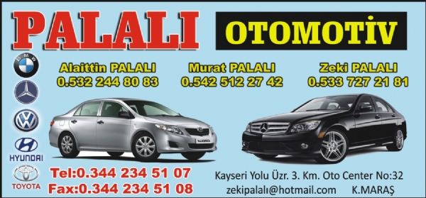 PALALI OTOMOTİV