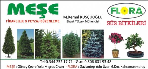 MEŞE FİDACILIK