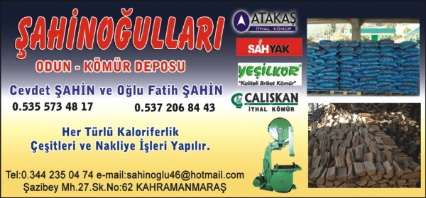 ŞAHİNOĞULLARI