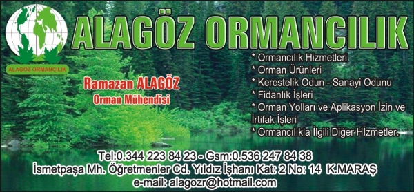 ALAGÖZ ORMANCILIK