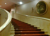Halı Uzmanı