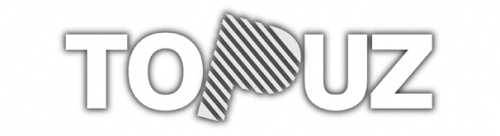 Topuz Dijital