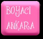 Ankara Boyaci