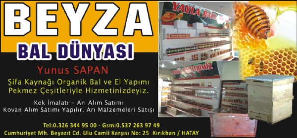 BEYZA BAL DÜNYASI