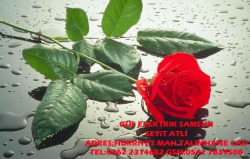 Gül Elektrik Samsun