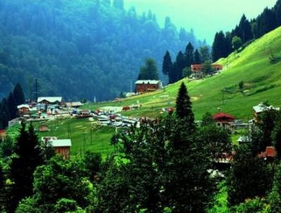 Nafiz Oto Kiralama Turizm Ltd. Şti.