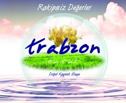 Tr Gida.ilt.dan.yaz.hiz.nak.ve Tic.ltd.şti