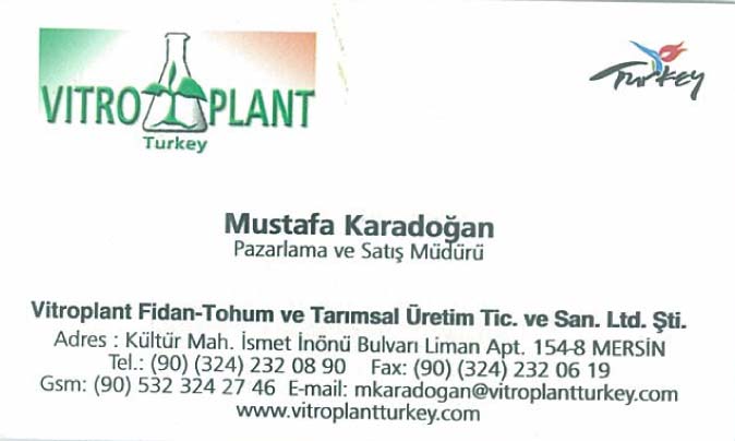 VITRO PLANT