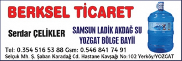 BERKSEL TICARET