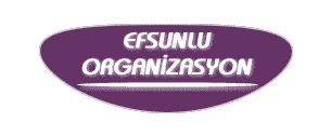 Efsunlu Organizasyon