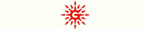 Göğüş Holding