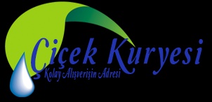 Çiçek Kuryesi