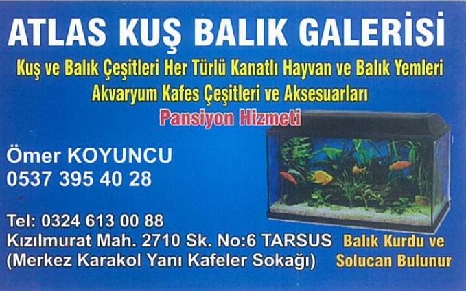 Atlas Kuş Balık Galerisi