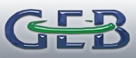 Güney Ege Bilişim