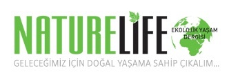 Dbs Medya Yapım Ve İletişim Hizmetleri