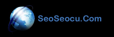 Seo Seocu Google Optimizasyon