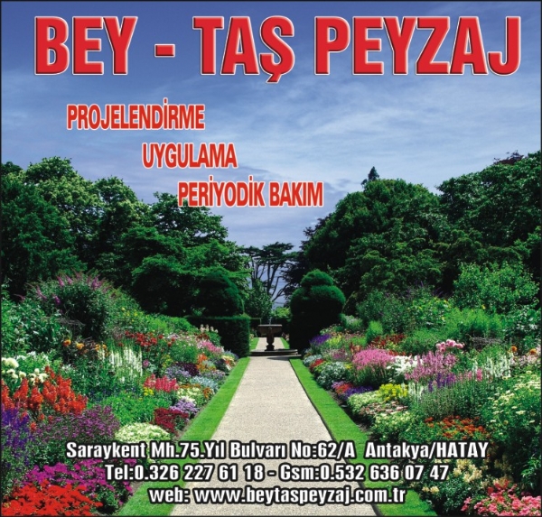 BEY-TAS PEYZAJ