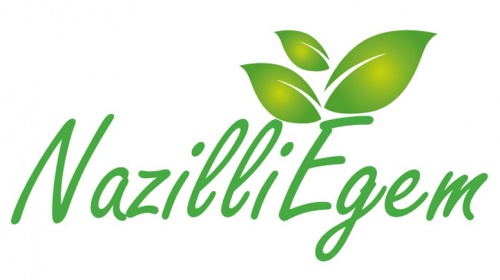Nazilli Egem-karaoğlu İncir