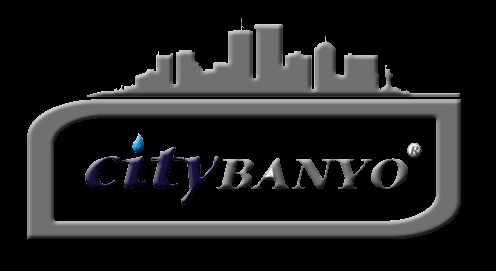 Ankara Duşakabin City Banyo