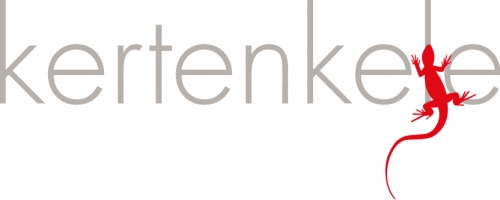 Kertenkele Reklam Hizmetleri Ltd
