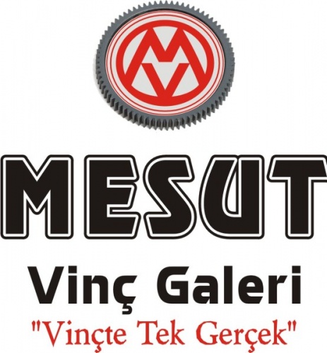 Mesut Vinç Galeri