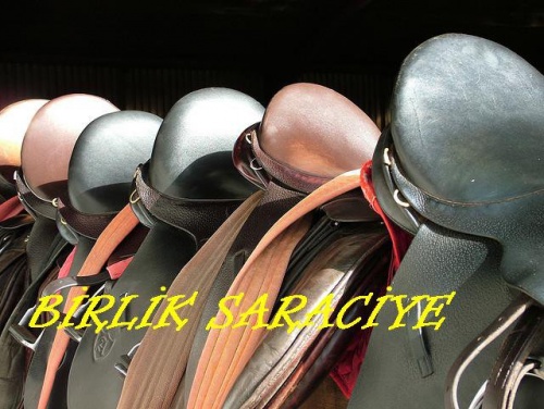 Birlik Saraciye(ŞAHİNBEY)