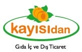 Kayisidan