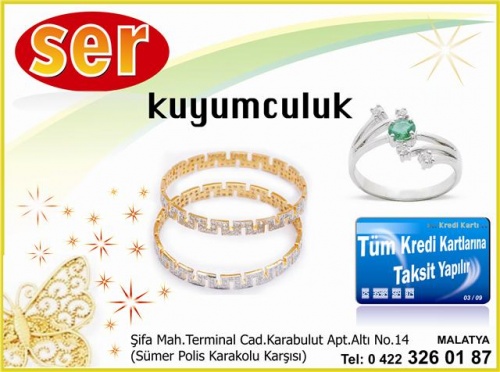 Ser Bilişim Kuyumculuk