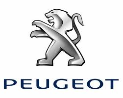 Sarar Otomotiv Peugeot-citroen Orjinal Yedek Parçalari