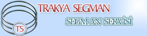 Trakya Piston Segman