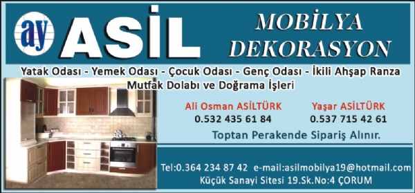 ASİL MOBİLYA(mimarsinan mahalleis)