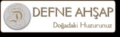 Defne Ahşap Ltd. Şti.