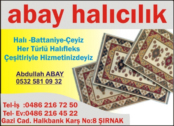 Abay Halicilik