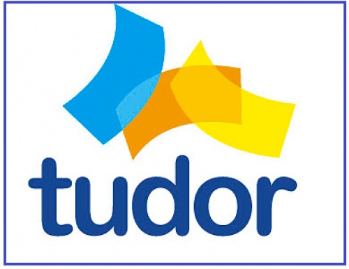 Nitril Eldiven Tudor