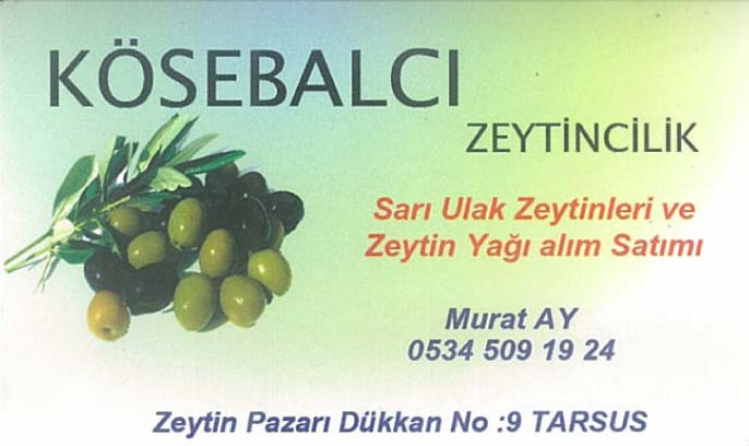 KÖSEBALCI Zeytincilik