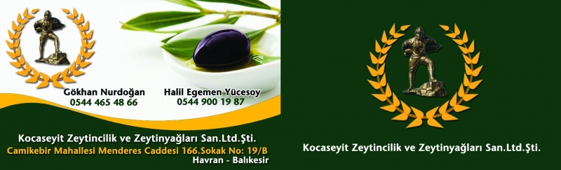 Kocaseyit Zeytincilik Ve Zeytinyağları San.ltd.sti