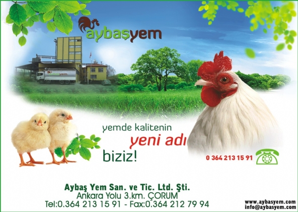 AYBAŞ YEM ÇORUM