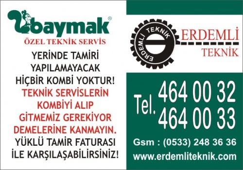 Erdemliteknik
