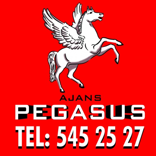 Pegasus Reklam Ajansı