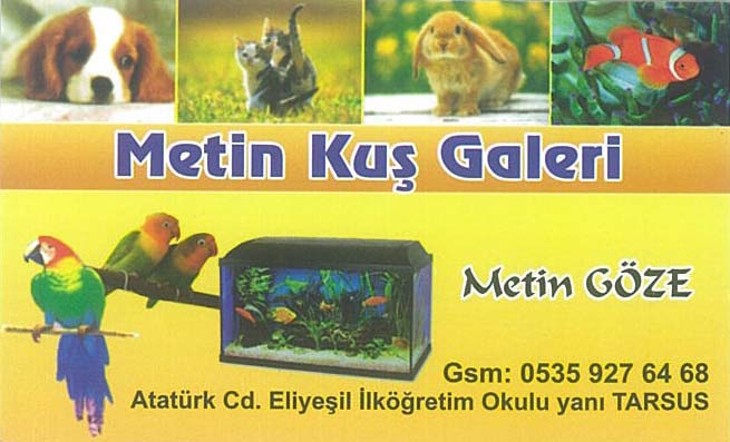 Metin Kuş Galeri